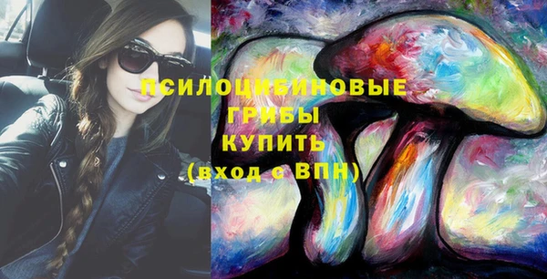 хмурый Горняк